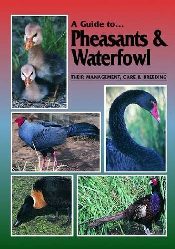 Pheasants and Waterfowl