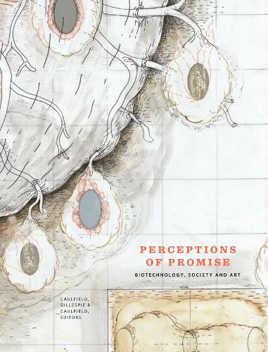 Perceptions of Promise