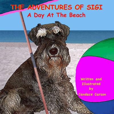 A Day at the Beach