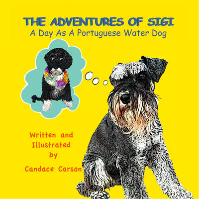 A Day as a Portuguese Water Dog
