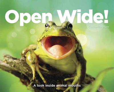 Open Wide!