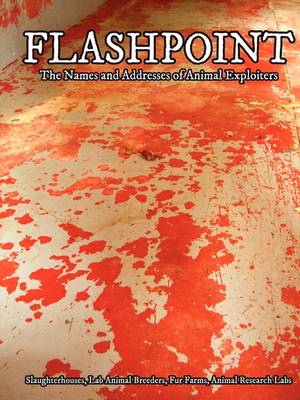 Flashpoint