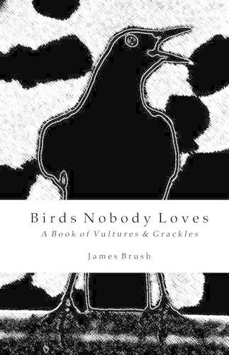 Birds Nobody Loves