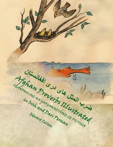 Seanfhocail na hAfganastáine le Pictiúir (Irish-Dari Edition)