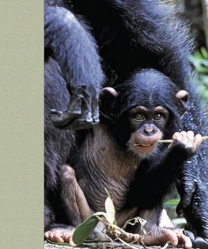 Mother and Child