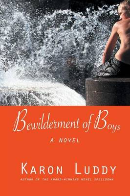 Bewilderment of Boys