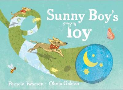 Sunny Boy's Toy