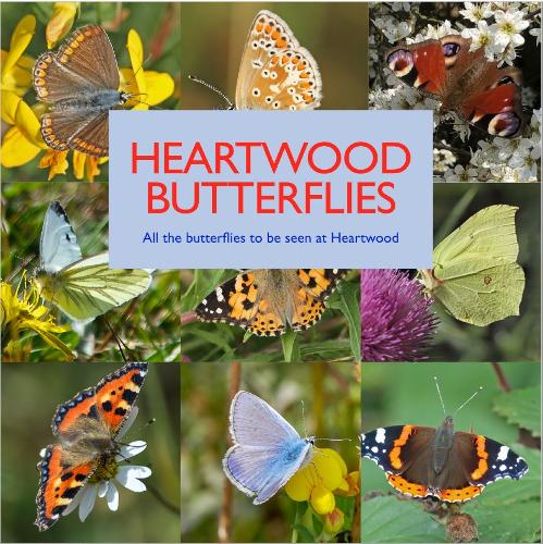 Heartwood Butterflies