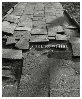A Polish Winter