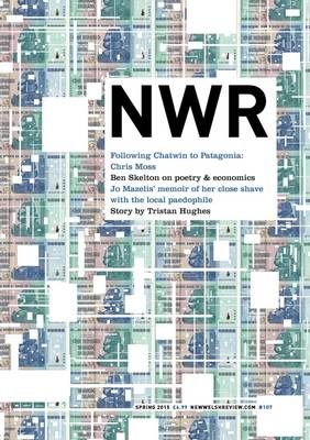 New Welsh Review 107, Spring