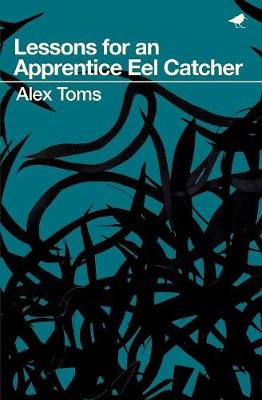 Lessons for an Apprentice Eel Catcher