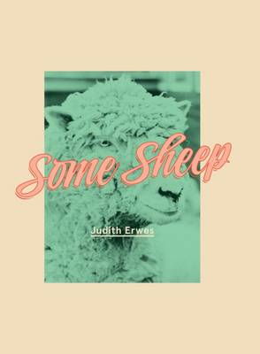 Some Sheep
