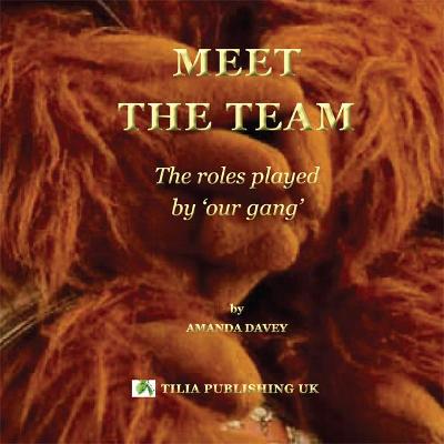 Meet the Team