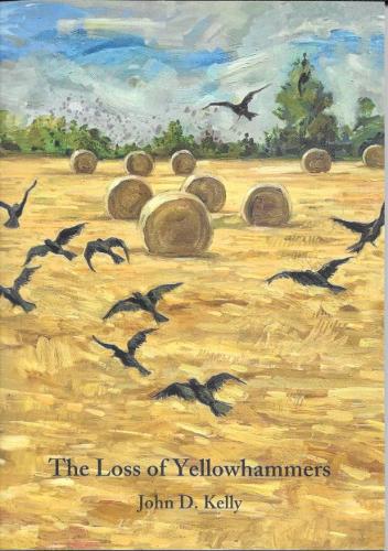 The Loss of Yellowhammers