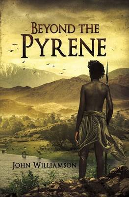 Beyond the Pyrene