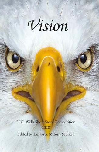 Vision