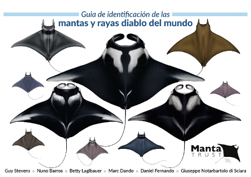 Guia de Identificacion de las Mantas y Rayas Diablo del Mundo