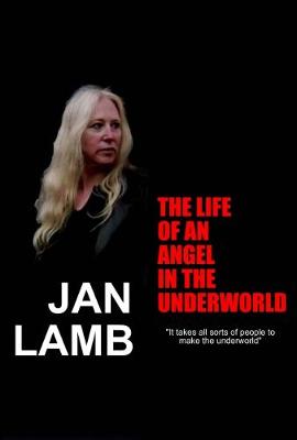 The Life Of An Angel In The Underworld