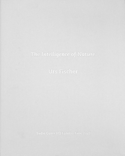 The Intelligence of Nature