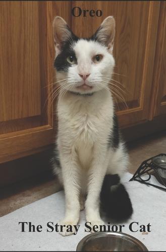 Oreo