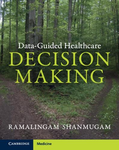Data-Guided Healthcare Decision Making