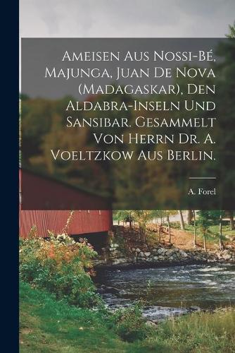 Ameisen Aus Nossi-Bé, Majunga, Juan De Nova (Madagaskar), Den Aldabra-Inseln Und Sansibar. Gesammelt Von Herrn Dr. A. Voeltzkow Aus Berlin.