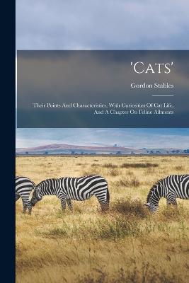 'cats'