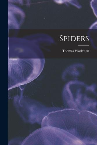 Spiders