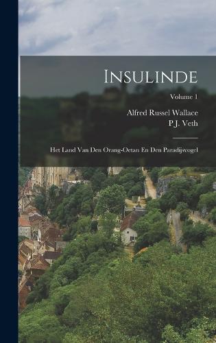 Insulinde