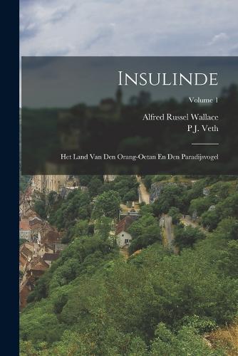 Insulinde