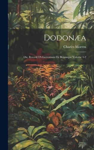 Dodonæa
