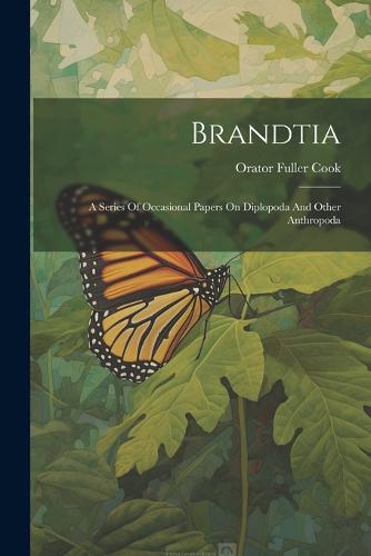 Brandtia