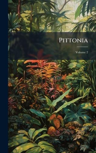 Pittonia