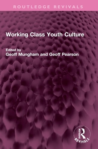 Working Class Youth Culture