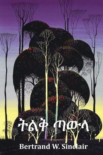 ትልቅ ጣውላ