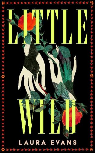 Little Wild by Laura Evans