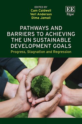 Pathways and Barriers to Achieving the UN Sustainable Development Goals