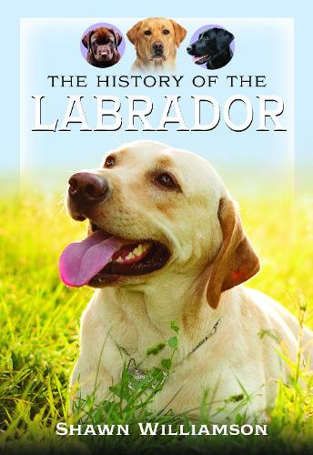 The History of the Labrador