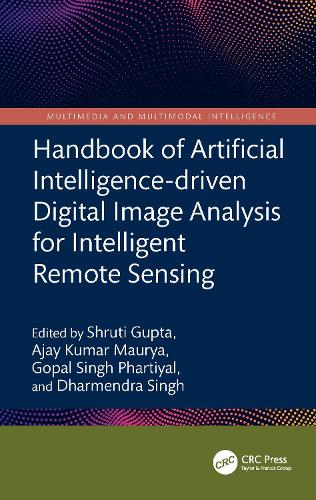 Handbook of Artificial Intelligence-driven Digital Image Analysis for Intelligent Remote Sensing