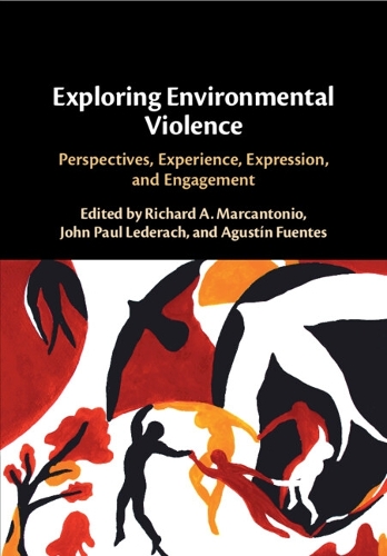 Exploring Environmental Violence