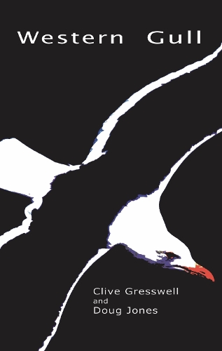 Western Gull