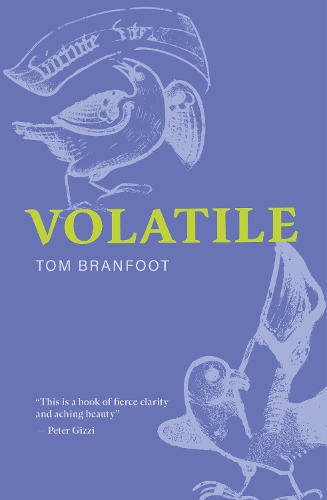 Volatile
