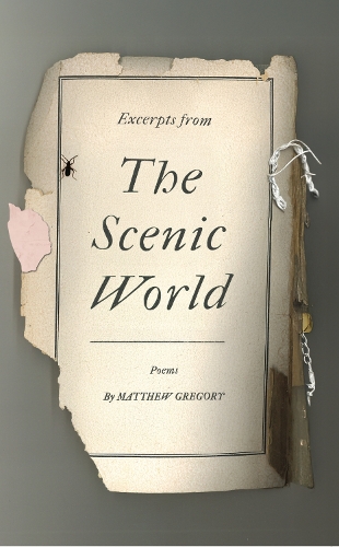 Excerpts from The Scenic World