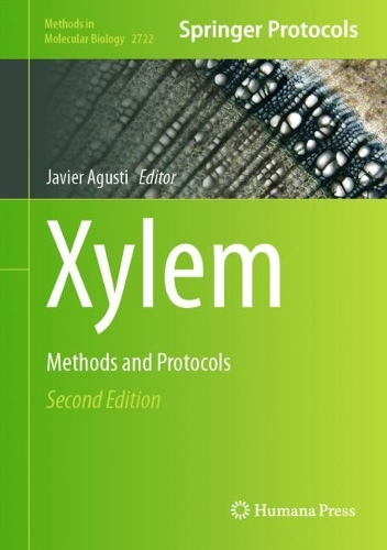 Xylem