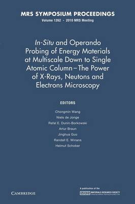 In-Situ and Operando Probing of Energy Materials at Multiscale Down to Single Atomic Column - The Power of X-Rays, Neutrons and Electron Microscopy: Volume 1262