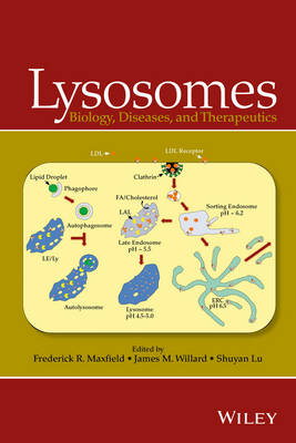 Lysosomes