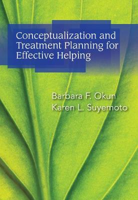 Conceptualization and Treatment Planning for Effective Helping