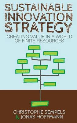 Sustainable Innovation Strategy