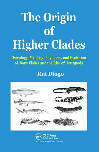 The Origin of Higher Clades