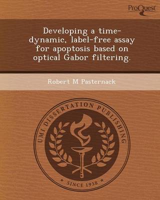 Developing a Time-Dynamic